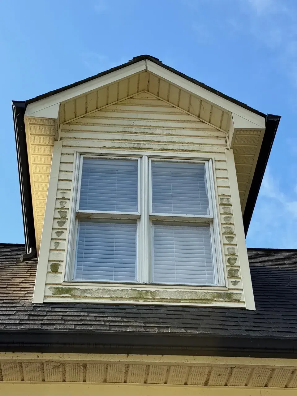 Dormer siding with algae and mold before soft wash